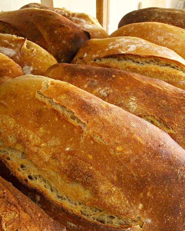 Pains au levain à la croûte dorée