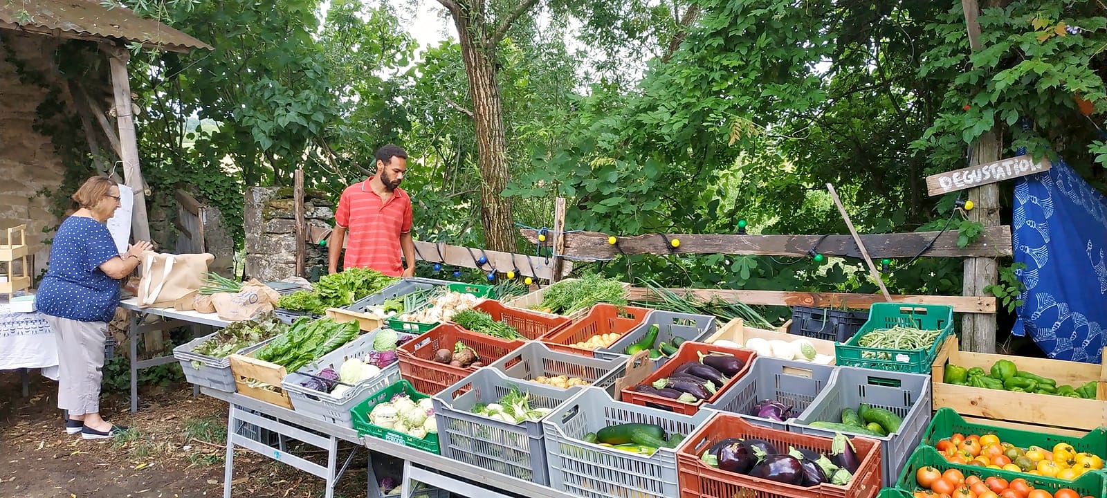 Un producteur derrière son étal de cagettes de légumes, une cliente à côté, à l'ombre des arbres